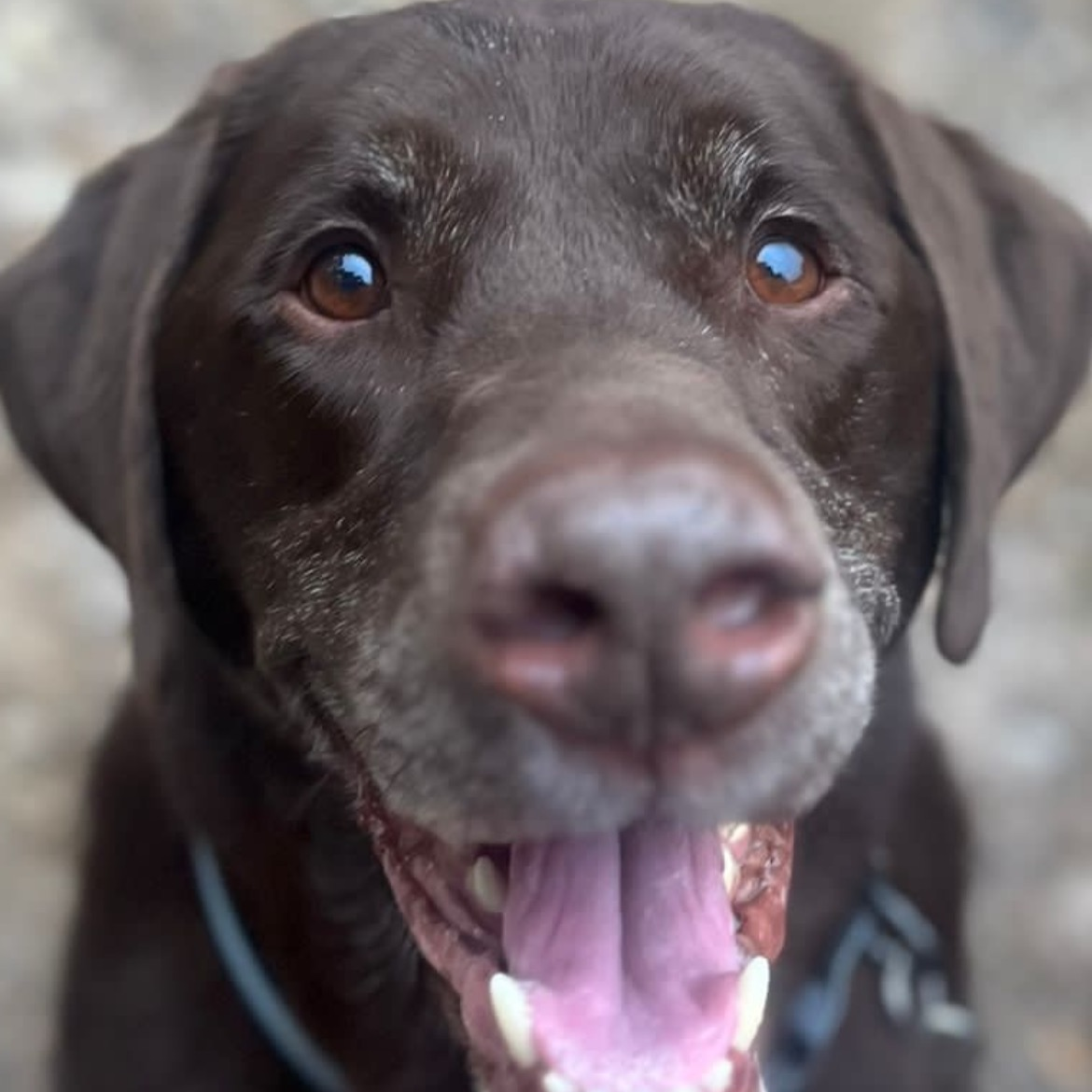 Max being cute